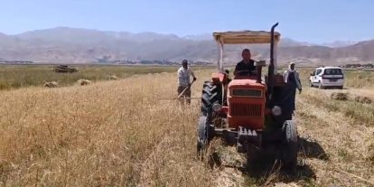 Yüksekova’da sıcak havaya rağmen çiftçilerin hasat mesaisi başladı