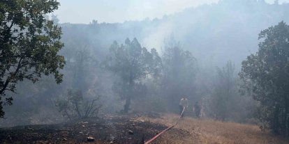 Bursa’da orman yangınına havadan ve karadan müdahale