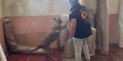 Kastamonu’daki uyuşturucu operasyonunda 5 şüpheli tutuklandı
