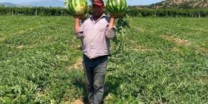 Tarlada para etmeyen karpuzu pazarda kendisi satıyor