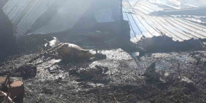 Çukurkuyu’da çıkan çiftlik yangınında 250 küçükbaş hayvan telef oldu