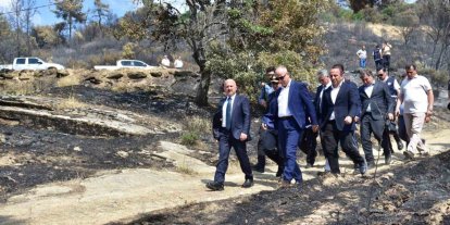 Bakan Yardımcısı Bulut ve Vali Varol yangın bölgesinde incelemelerde bulundu