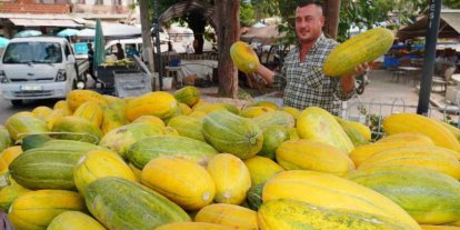 Tavan arasından çıkan tohumlar Altınbaş Kavununu yeniden canlandırdı