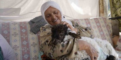 Torunu gibi büyüttüğü kuzu "Boncuk" evin neşe kaynağı oldu