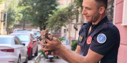 Yağmur suyu giderine sıkışan kediyi itfaiye kurtardı