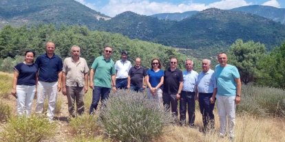 Tıbbi ve Aromatik Bitkileri yerinde inceleme
