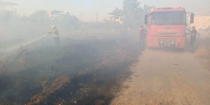 Hassa’da zeytinlik yangını yaşandı