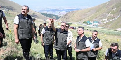 Palandöken’in orman varlığına inceleme