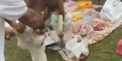 Rize’de piknik masasının davetsiz misafirleri ile piknikçiler arasında güldüren kovalamaca