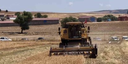 Kütahya’da 18 farklı nohut çeşidi aynı tarlada tanıtıldı