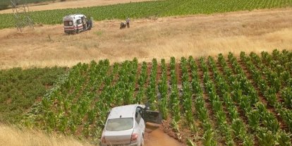 Malatya’da otomobil tütün tarlasına düştü: 3 yaralı