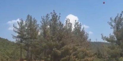Gaziantep’te orman yangını: Havadan ve karadan müdahaleyle söndürüldü