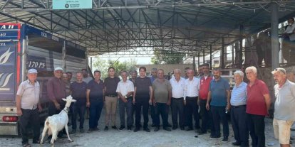 Seydikemer’de yangında hayvanlarını kaybeden çiftçilere küçükbaş hayvan desteği