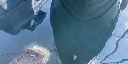 Yeşilköy’de İSKİ’ye kanalizasyon suyu tepkisi: "Denizde oluşan kirlilik nedeniyle canlılar zarar gördü"