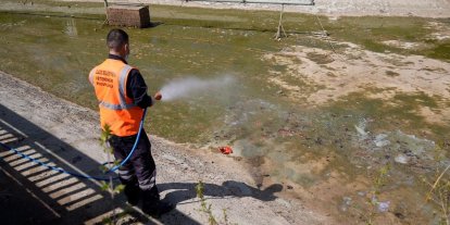 Elazığ’da İlaçlama çalışmaları sürüyor