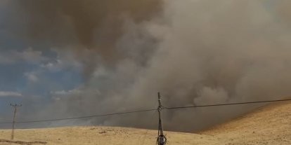 Karakoçan’da örtü yangını