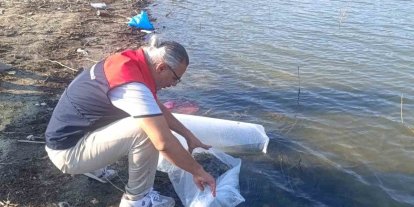 Göletlere 80 bin yavru balık bırakıldı