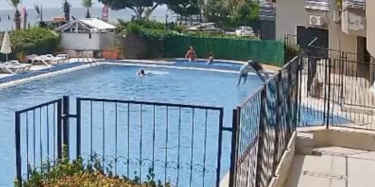 Boğulmak üzere olan çocuğu havuz görevlisi kurtardı