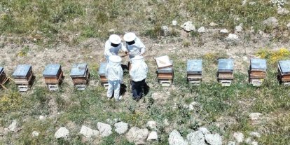 Erzincan’da kovanlar bal doldu, arıcılar hasadı bekliyor