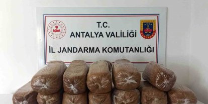 Antalya’da üç ilçede kaçak tütün operasyonu: 785 kilogram tütün ele geçirildi