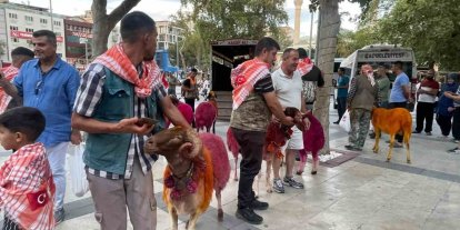Koyunlar sudan önce bulvardan geçti