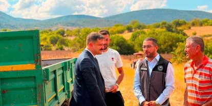 Bilecik’te ayçiçeği ekimi 3 yılda 11 bin 700 dekar arttı