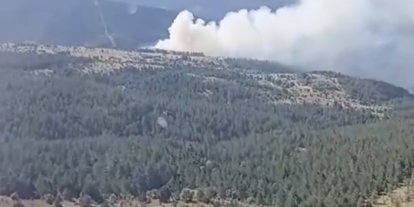 Kastamonu’da çıkan orman yangını ekiplerin hızlı müdahalesiyle söndürüldü