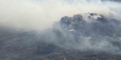 Bandırma’da besi çiftliği yakınında otluk alanda yangın