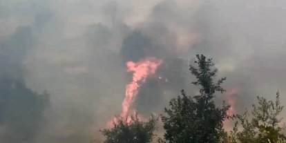Diyarbakır’da örtü ve orman yangınında geniş alan zarar gördü