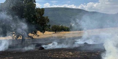 Bolu’da balya makinesinden çıkan kıvılcımlar yangına neden oldu