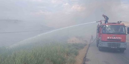 Siirt Üniversitesi Kezer yerleşkesi yakınlarında örtü yangını: 100 dönümden fazla alan zarar gördü