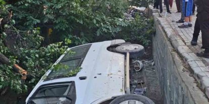 Elazığ’da transit  bahçeye düştü