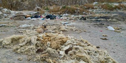 Çöplüğe dönen kum ocağında cevre felaketi yaşanıyor
