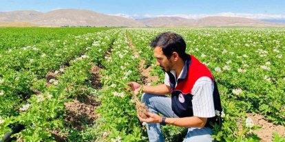 Bayburt’ta patates üretim alanları hastalık ve zararlılara karşı denetlendi