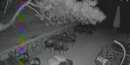Ayı yavrularının sevimli halleri güvenlik kamerasına yansıdı