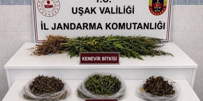 Uşak’ta kaçakçılık operasyonu
