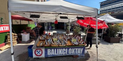 Balıkçı esnafından yeni sezon müjdesi, "Bu sene denizden balık fışkıracak"