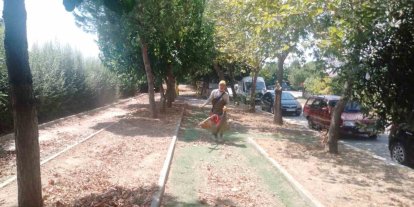 Köşk’te park ve yeşil alanlarda bakım çalışmaları sürüyor