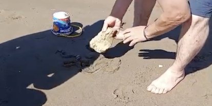 Plajda görülen yılan vatandaşlara panik yaşattı
