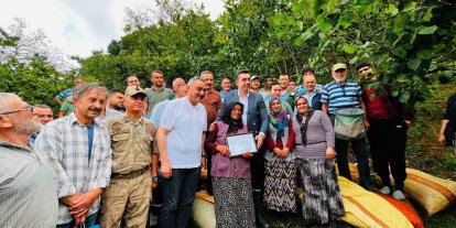 Ordu’da yaklaşık 1 ton fındık cami ihtiyaçları için toplandı