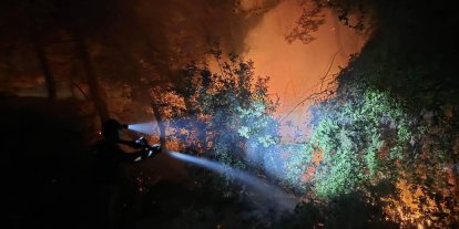 Hatay’da orman yangını kontrol altına alındı