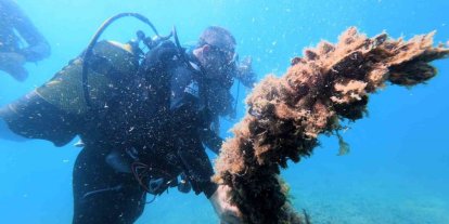 Karadeniz kıyılarındaki ilk su altı kazısında 2 bin 500 yıllık tarihe daldılar