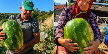 Aydın’da 550 rakımda karpuz ve balkabağı yetiştiriyorlar