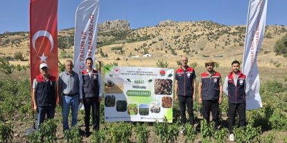 Şırnak’ta TAKE Projesi kapsamında sebze hasadı gerçekleştirildi