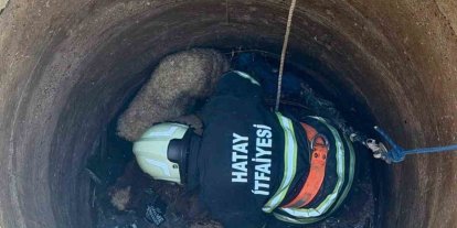 Antakya’da kuyuya düşen 2 koyun kurtarıldı
