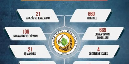 Sinop’ta orman yangınlarına karşı seferberlik