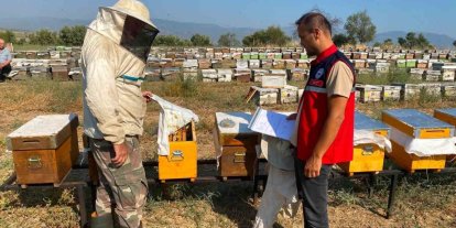 Nazilli’de arılı kovan tespit çalışmaları sürüyor