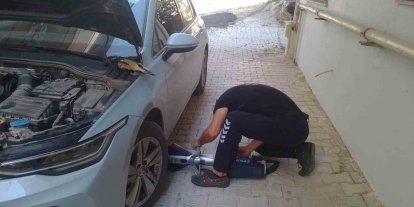Reyhanlı ve Defne’de mahsur kalan kediler kurtarıldı