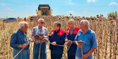 Tarsus’ta ayçiçeğinde 4 bin 485 ton rekolte bekleniyor
