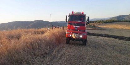 Sinop’ta anız yangını korkuttu